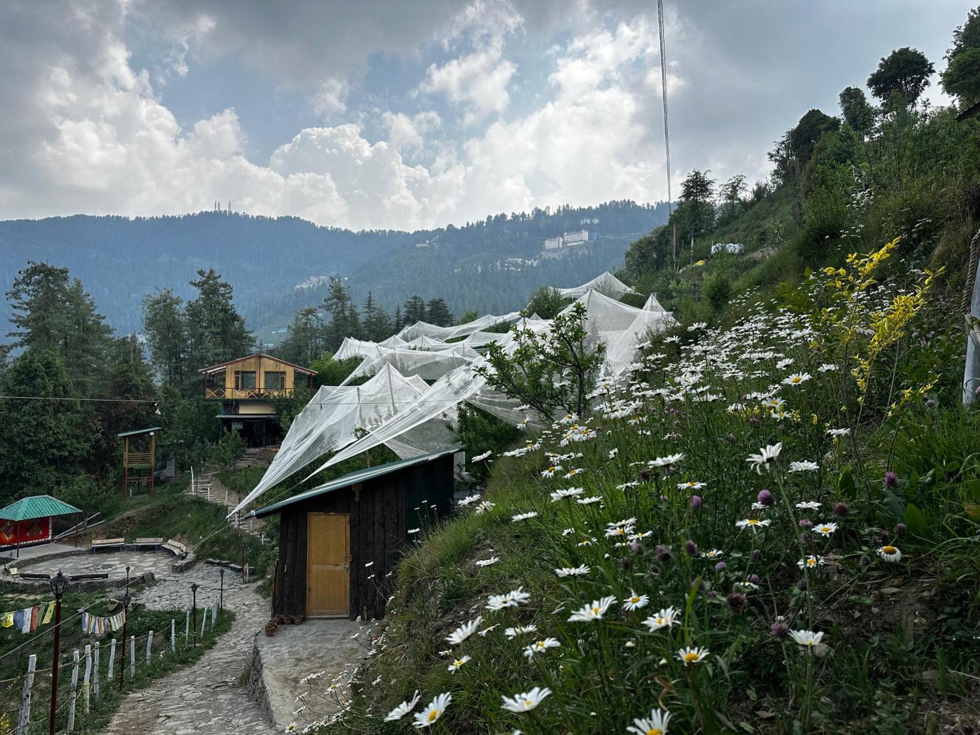 Hotel Daak Bangla Retreat Kufri Exterior foto