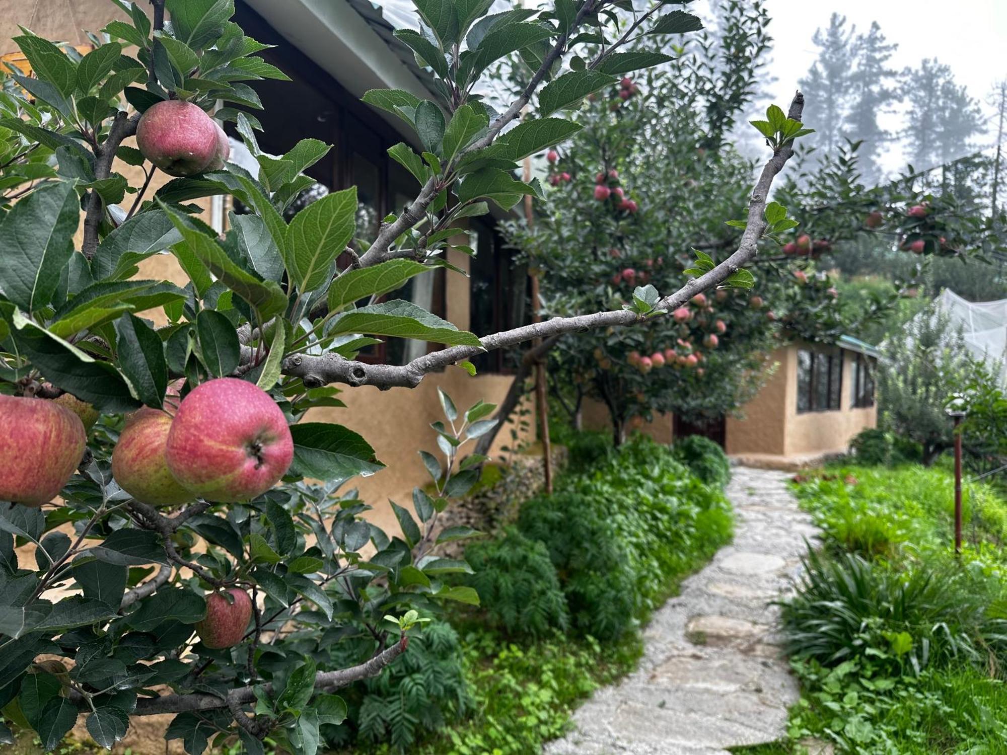Hotel Daak Bangla Retreat Kufri Exterior foto