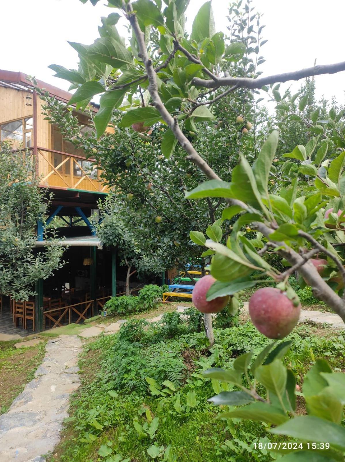 Hotel Daak Bangla Retreat Kufri Exterior foto