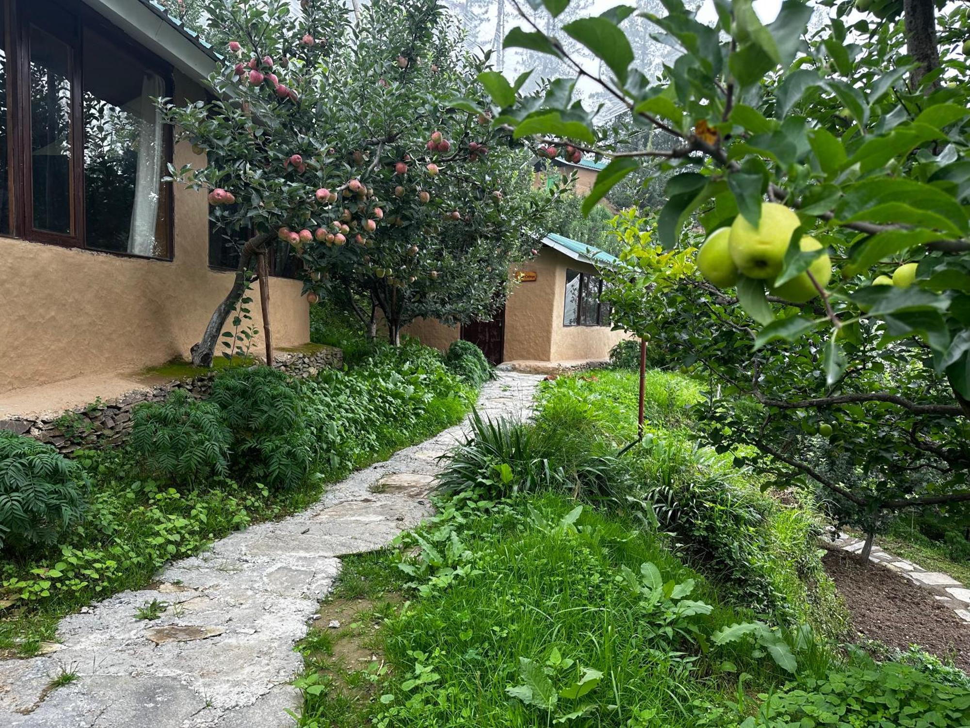 Hotel Daak Bangla Retreat Kufri Exterior foto