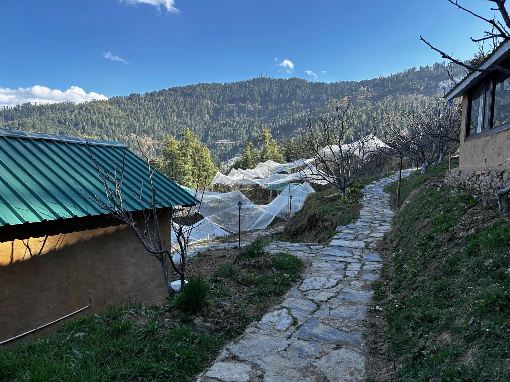 Hotel Daak Bangla Retreat Kufri Exterior foto